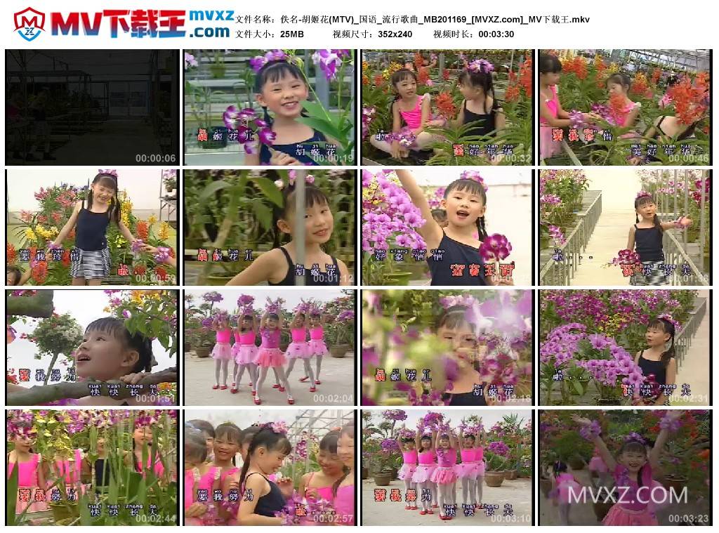 佚名-胡姬花(MTV)_国语_流行歌曲_MB201169